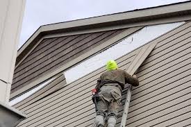 Best Insulated Siding Installation  in Murray, KY